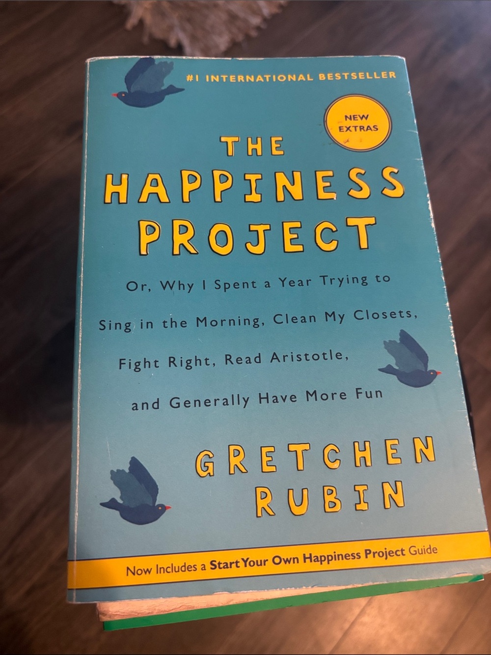 the happiness project book